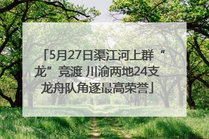 5月27日渠江河上群“龙”竞渡 川渝两地24支龙舟队角逐最高荣誉
