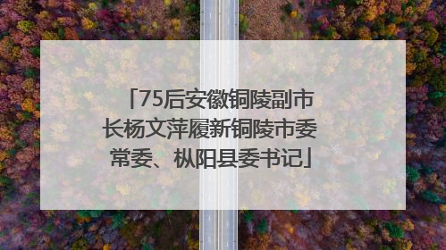 75后安徽铜陵副市长杨文萍履新铜陵市委常委、枞阳县委书记