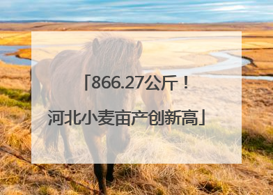 866.27公斤！河北小麦亩产创新高