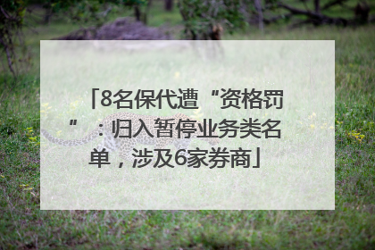 8名保代遭“资格罚”：归入暂停业务类名单，涉及6家券商