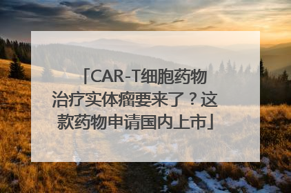 CAR-T细胞药物治疗实体瘤要来了？这款药物申请国内上市