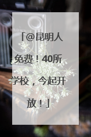 @昆明人 免费！40所学校，今起开放！