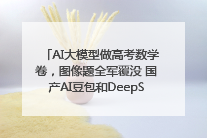 AI大模型做高考数学卷，图像题全军覆没 国产AI豆包和DeepSeek均得分144
