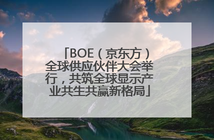 BOE（京东方）全球供应伙伴大会举行，共筑全球显示产业共生共赢新格局