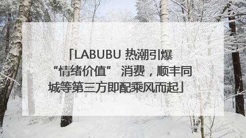 LABUBU 热潮引爆 “情绪价值” 消费，顺丰同城等第三方即配乘风而起
