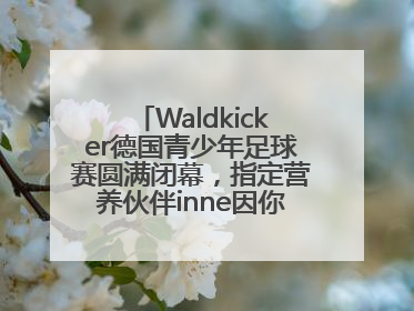 Waldkicker德国青少年足球赛圆满闭幕，指定营养伙伴inne因你陪伴少年前行